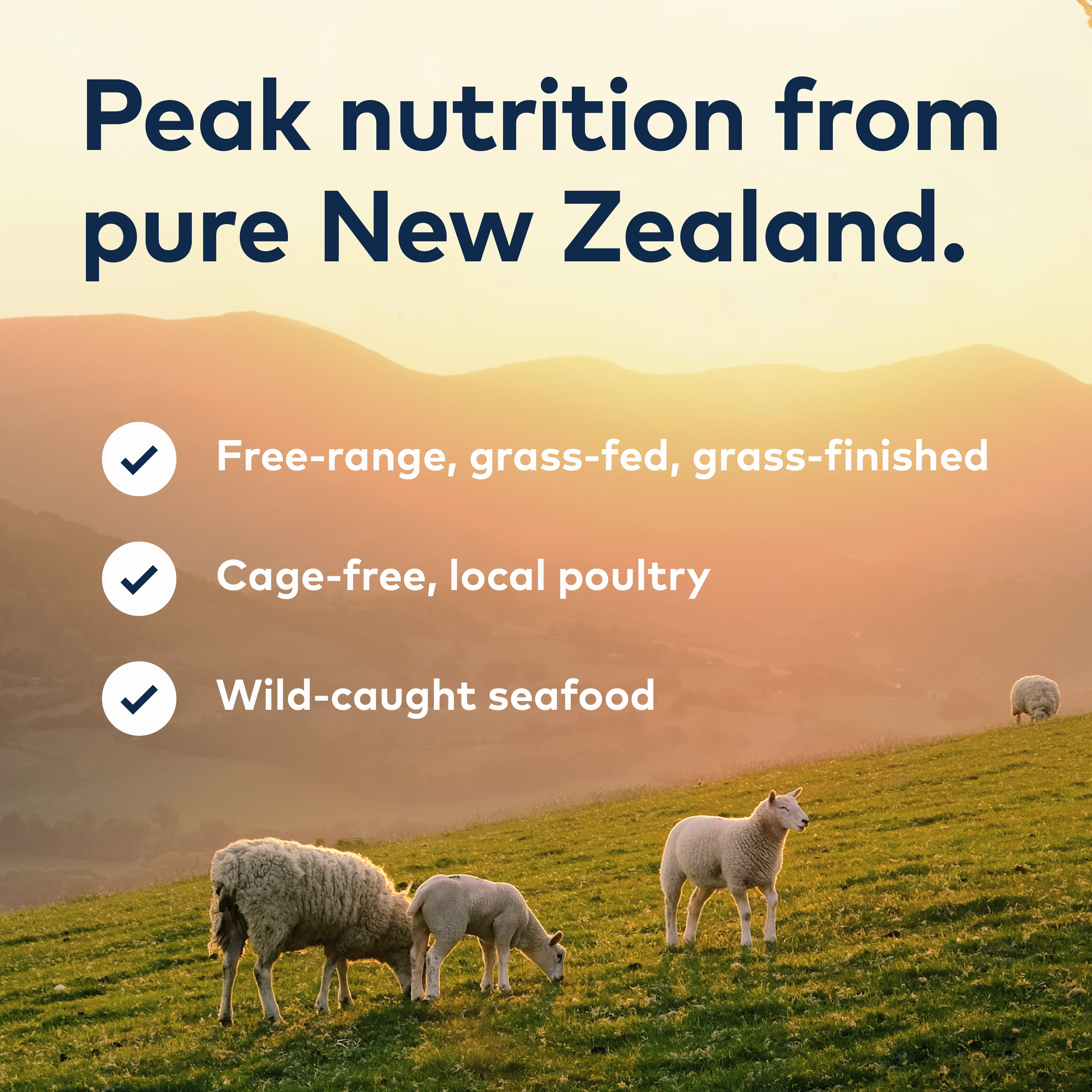 ZIWI Air Dried Chicken Cat Food