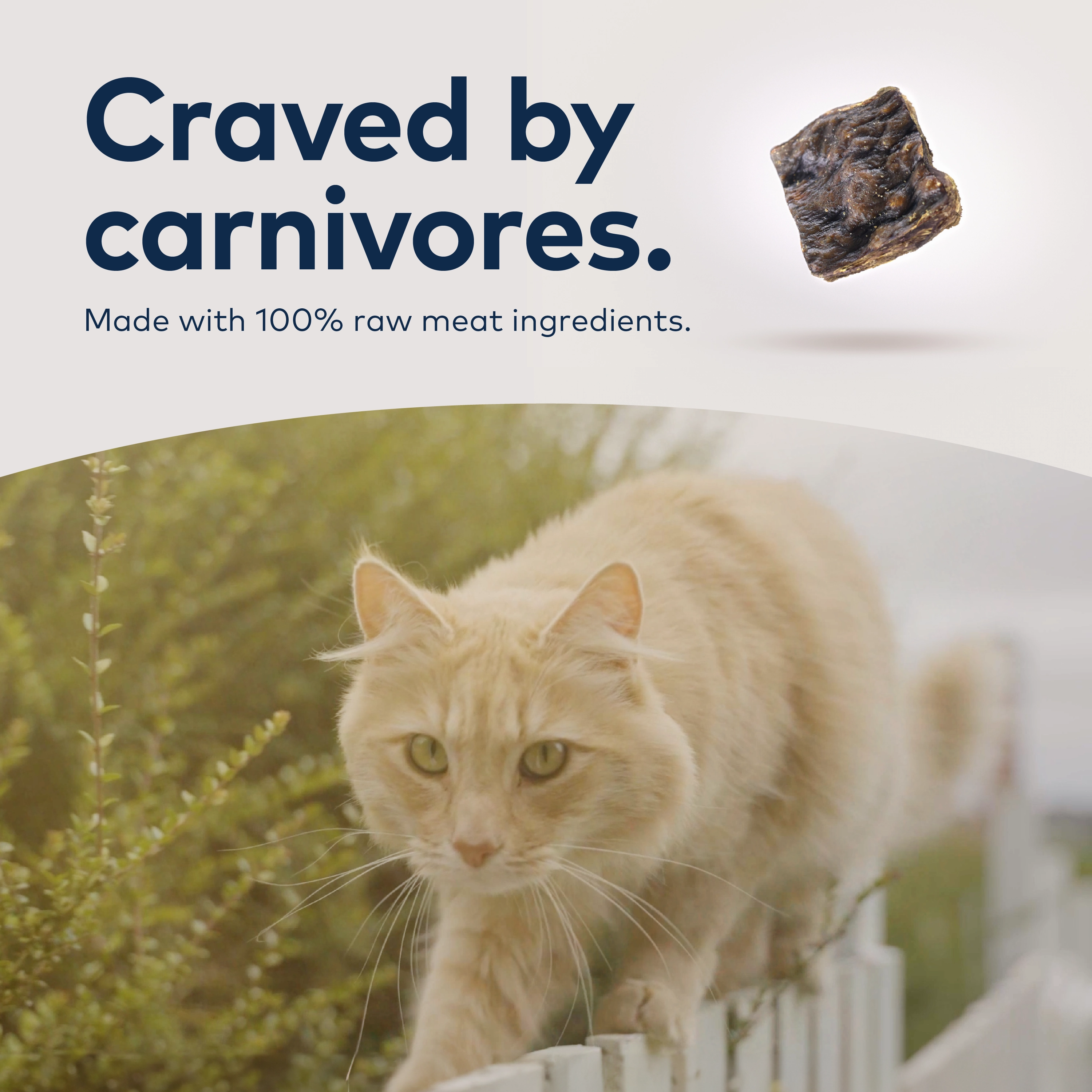 ZIWI Air Dried Chicken Cat Food