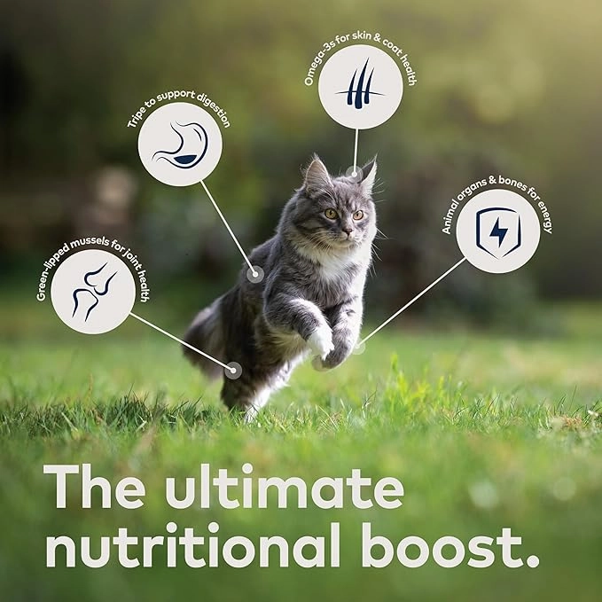 ZIWI Chicken Recipe Canned Cat Food