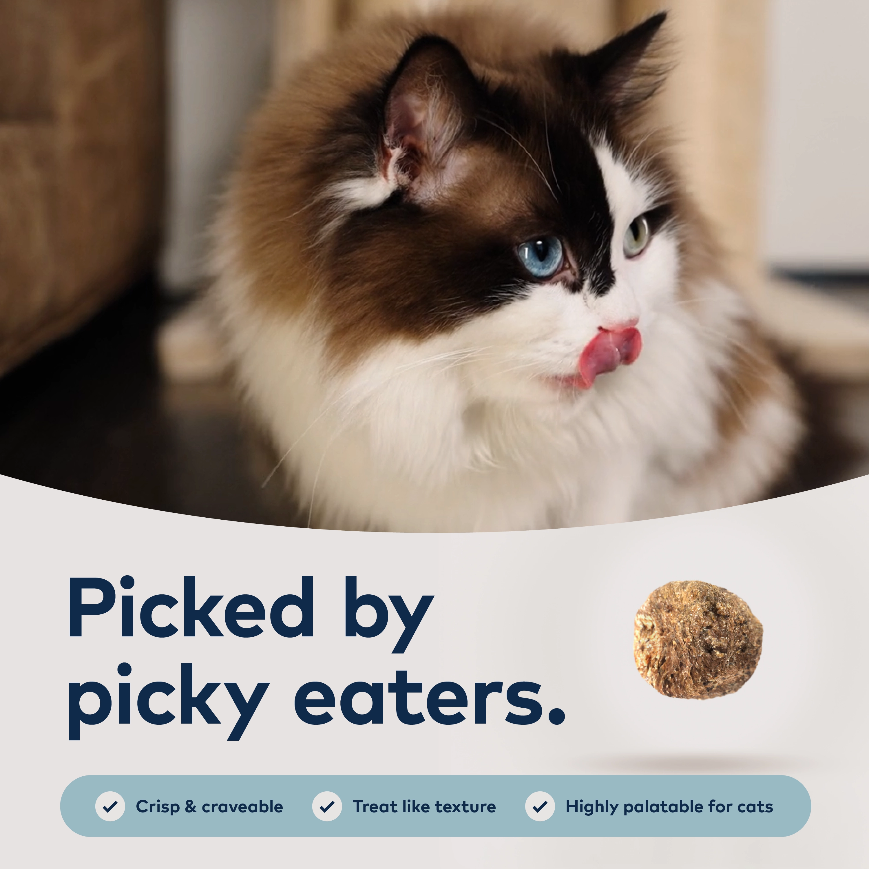 ZIWI Steam Dried South Pacific Fish Cat Food