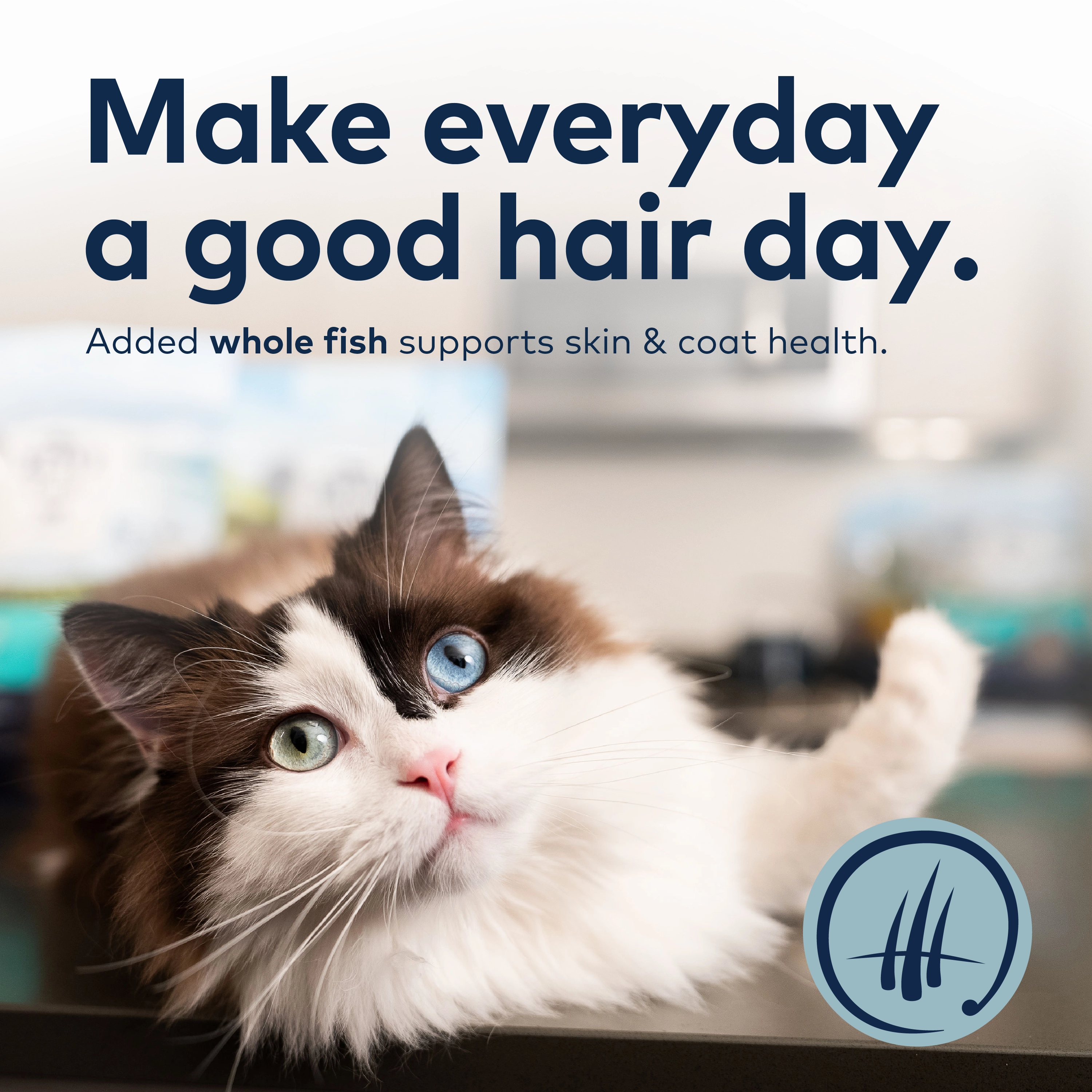 ZIWI Steam Dried South Pacific Fish Cat Food