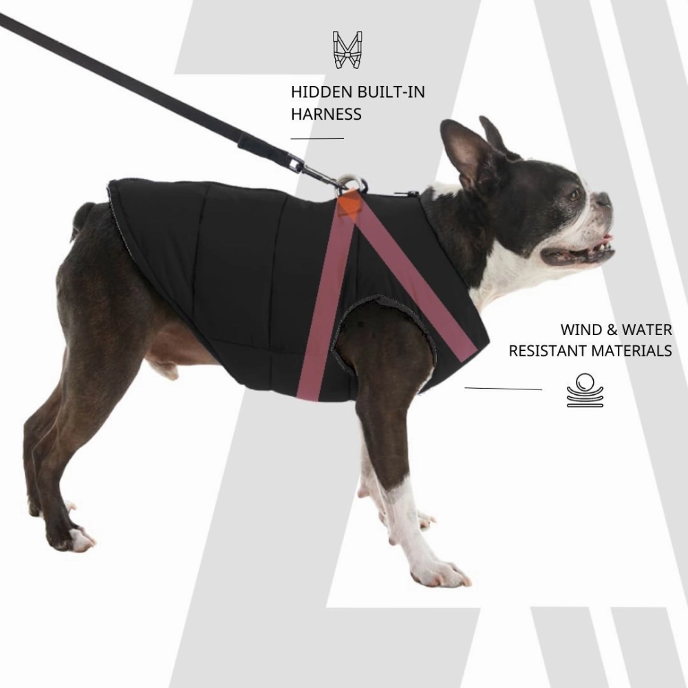 Zoomiez Ultimate Jacket With Built in Harness for Dogs (Black/Neon)